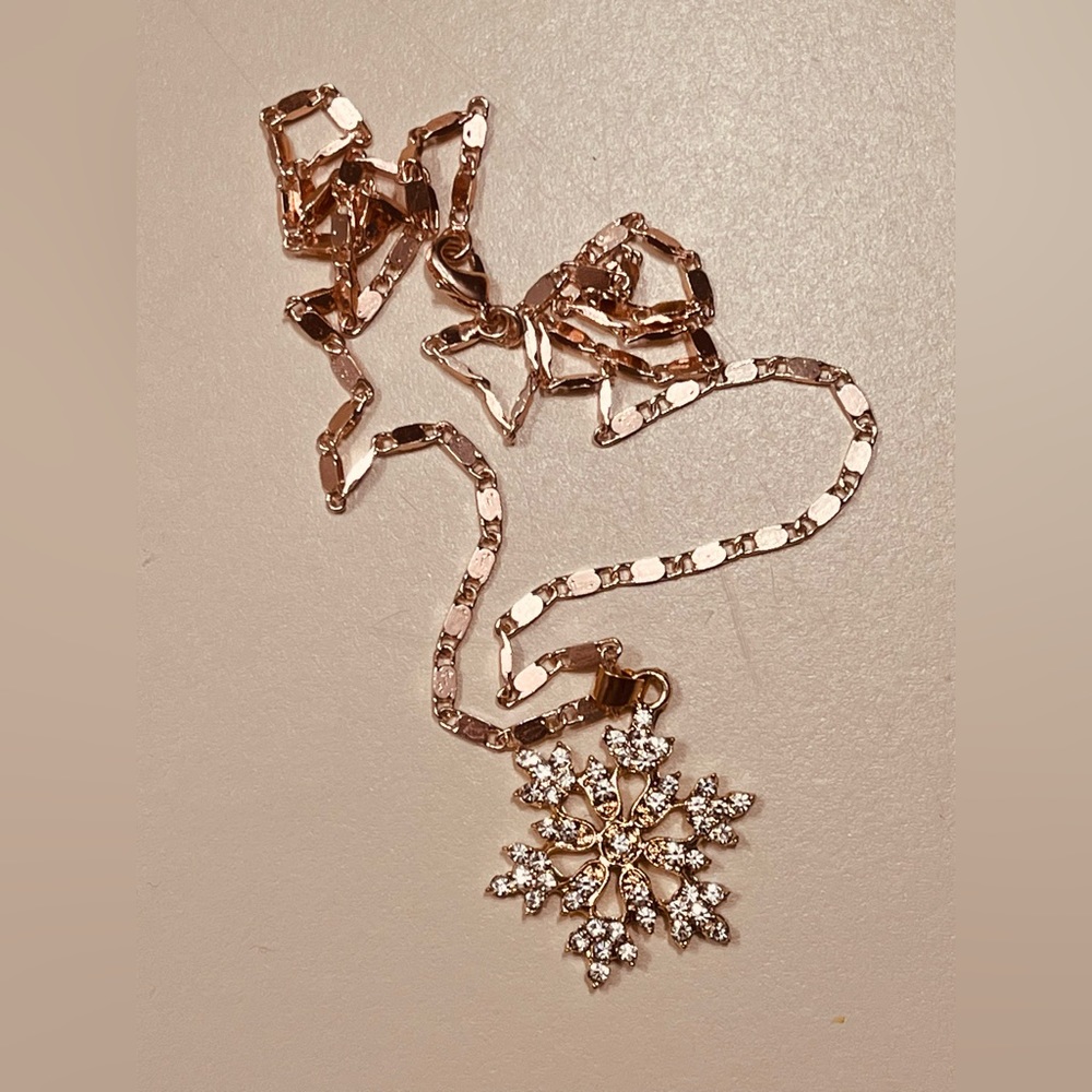 Fashion jewelry necklace and earrings set for women